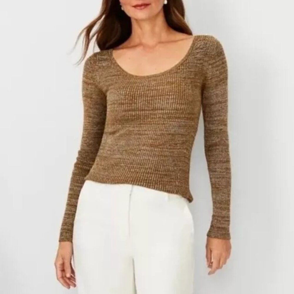 Ann Taylor Brown Scoop Neck Sweater